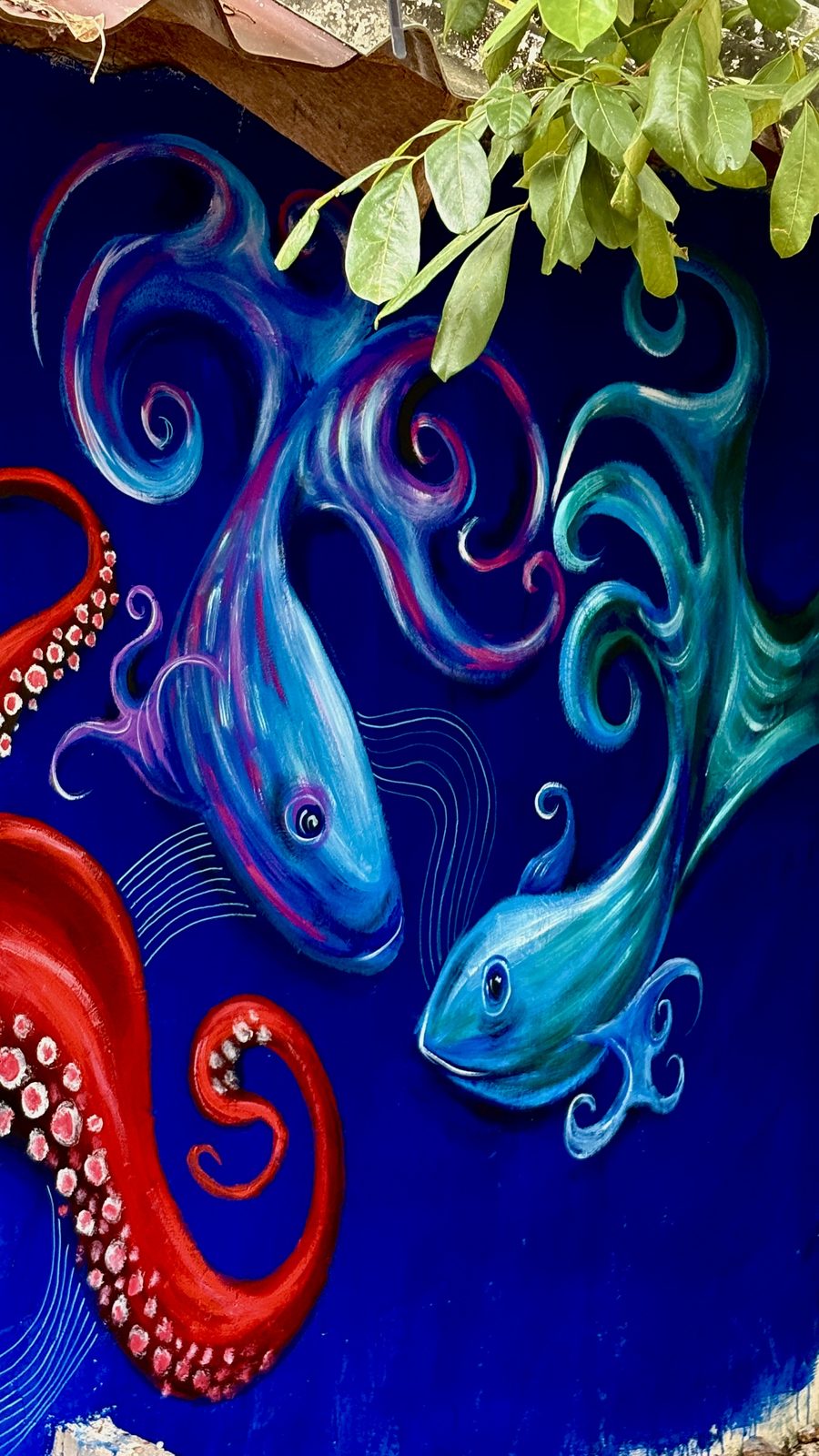 Oceanlife murals in Koh Mak